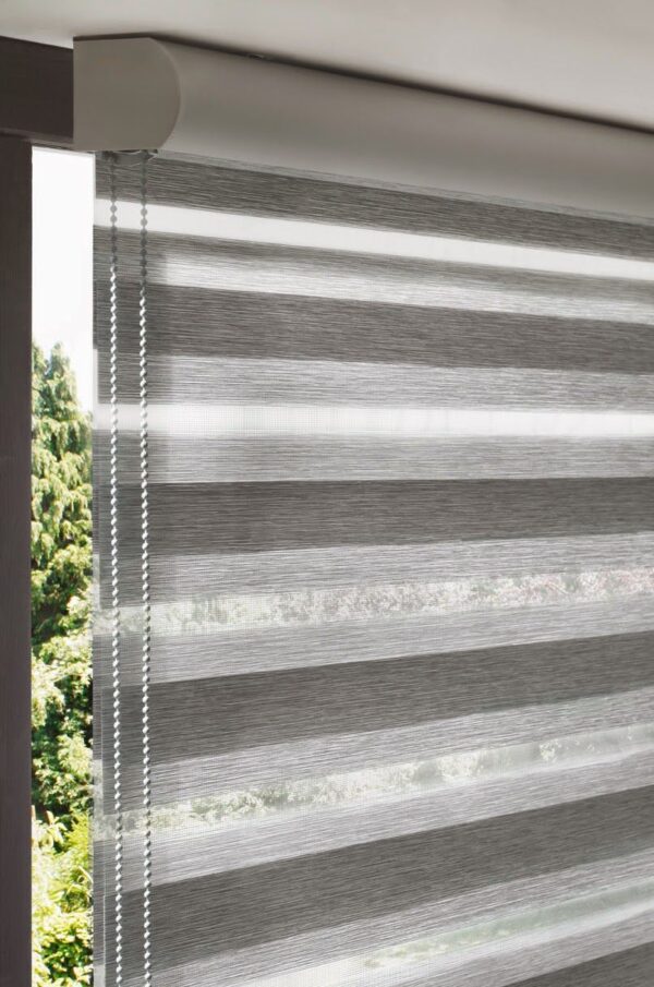 Zebra Blind