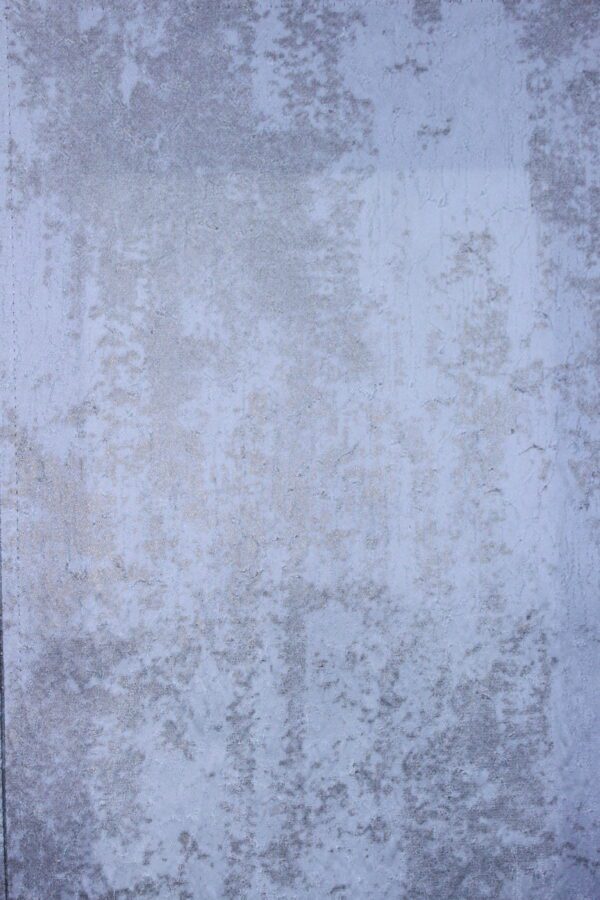 Imported Classic Hidency - Image 6