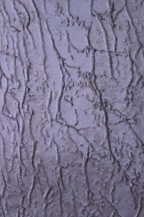 Imported Classic Hidency - Image 7