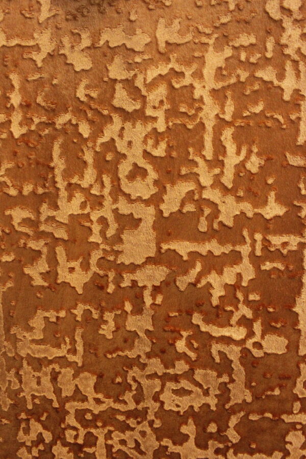 Holland Velvet - Image 3